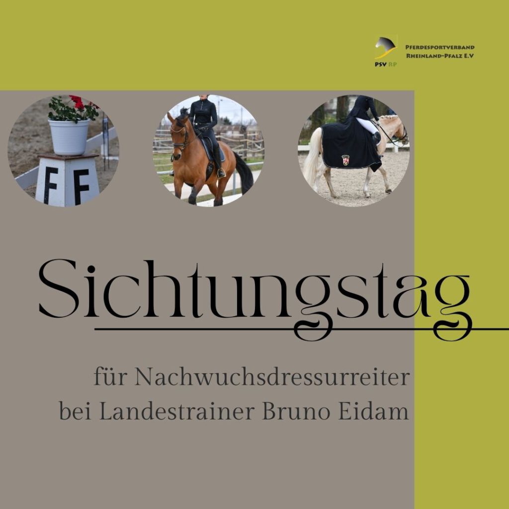 Sichtungstag für Nachwuchsdressurreiter